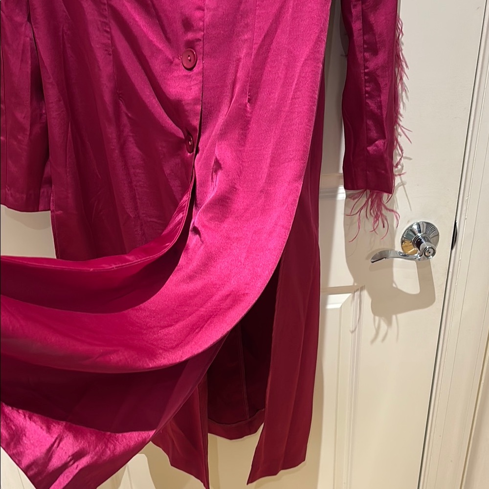 Chic Pink Button-Up Coat with Feather Detail - Picture 5 of 11